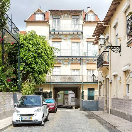 Andre Berta Premium *